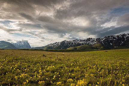 Campo Imperatore, Alessandro Petrini