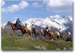 Escursioni a cavallo (Valli di Tures e Aurina)