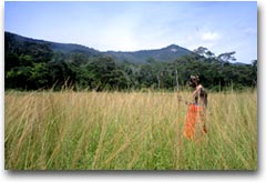 Guerriero Samburu (Foto:Nico Tondini)
