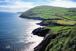 Estate irlandese 2 Verdi scogliere d'Irlanda (Foto: Tourism Ireland/Holger Leue)