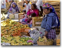 Oaxaca Mercato