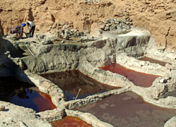 Le vasche di sale a Bilma