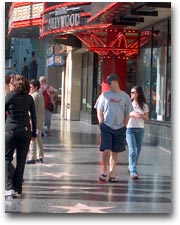 Los Angeles e dintorni: di tutto e di più 1 Sulla famosa Walk of Fame di Hollywood