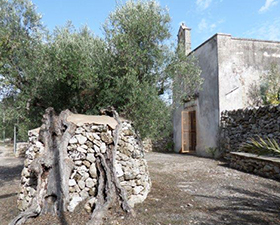 tour La Chiesa di San Vito a Calimera tra gli ulivi