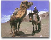 Nomade a cavallo