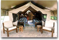 La tenda (Foto:Nico Tondini)