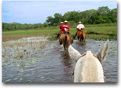 Escursione a cavallo a Pantanal, Brasile