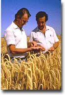 Agricoltura Un ricercatore di un centro Harvest con un agricoltore