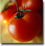 OGM Pomodoro