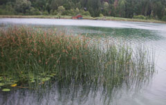 Il lago Afritz