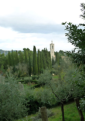 Ascoli 