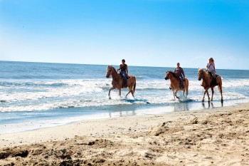 Passeggiata a cavallo Parco del Delta del Po