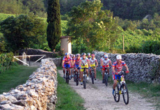 Una strada che porta a Soave