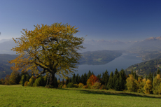 Vacanze in fattoria in Austria 4 Vacanze in fattoria in Austria