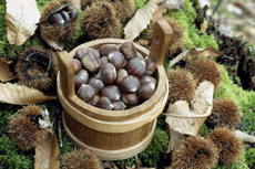 Castagne locali