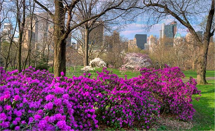 “Spring time emotions” Italian style a New York 2 Expo