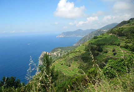 Liguria 