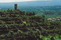 In Veneto un fine settimana all'insegna del Prosecco