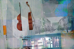 Musica e letteratura si incontrano a Cremona 4 Musica e letteratura si incontrano a Cremona