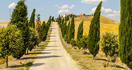 Veduta delle Crete Senesi