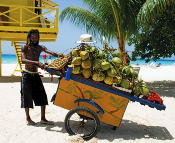 Crociera Caraibi Venditore noci di cocco
