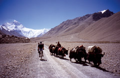 Al Campo Base dell'Everest (5200 metri), Tibet