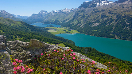 Engadin St. Moritz, Svizzera