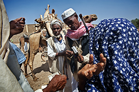 Eritrea, Antonio Politano ©