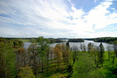 Estonia Il paesaggio vicino a Otepää. Boschi, laghi e terreno pianeggiante lo rendono in inverno il paradiso per lo sci di fondo e il pattinaggio su ghiaccio