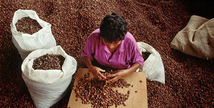 l Cluster del Cacao e del Cioccolato
