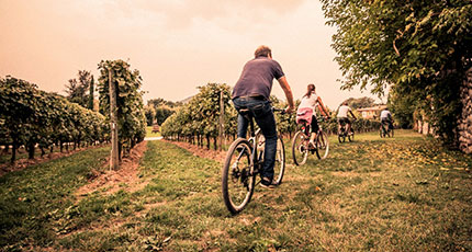 Il Franciacorta e i suoi vini