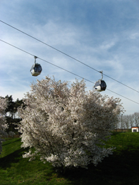 La funivia che collega le diverse aree di Floriade