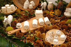 I formaggi della montagna bresciana (© Foto Brescia in Vetrina)