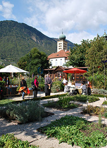 Merano Il Giardino del Convento Galanthus