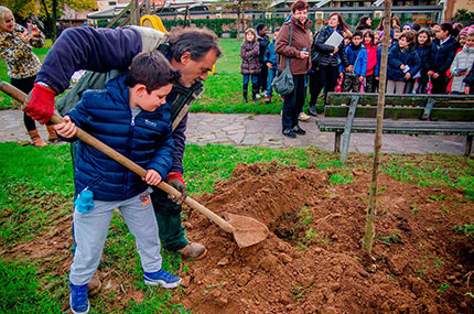 In arrivo la Giornata degli Alberi