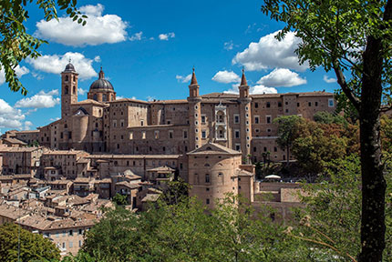 Urbino