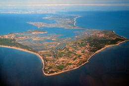 L'oasi naturalistica de l'Ile de Ré 