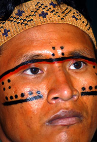 Yanomani: "Urihi a pree" la foresta degli esseri umani