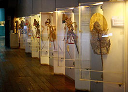 Il Museo Wayang