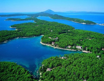 Cane Croazia