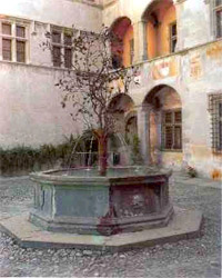 L'albero di melograno nella fontana in cortile