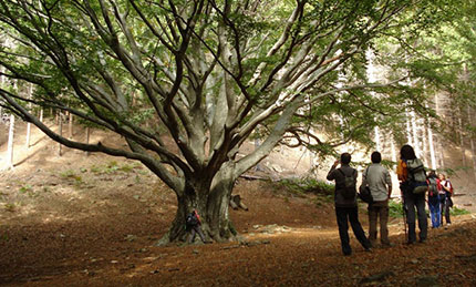 Turisti sostenibili in Emilia Romagna 4 Turisti sostenibili in Emilia Romagna