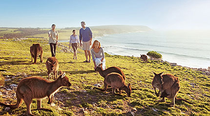 Kangaroo Island: un percorso per turisti