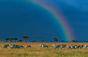 La magia del Kenya