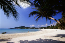 L'isola di Koh Samui nel golfo di Thailandia