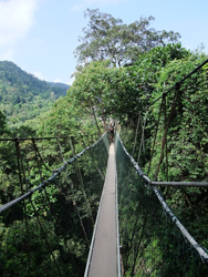 Il Parco Nazionale del Taman Negara