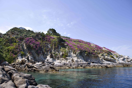 La scogliera di Sant'Andrea, sull'Isola d'Elba