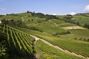 Paesaggi vitivinicoli del Piemonte, Langhe-Roero e Monferrato