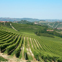 Notizia riservata ai passeggeri buongustai 4 Notizia riservata ai passeggeri buongustai