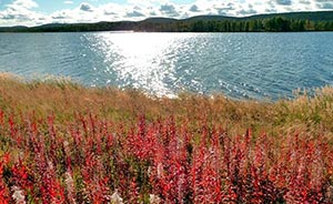Lapponia finlandese, Lago Akujavi-Ivalo, Foto Gianfranco Nitti